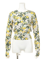 【FEMININE】マルチフラワーCD/グレー