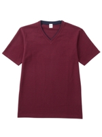 ドットジャカードVネックプルオーバー/レッド系(065)