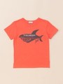 シャークプリント付き半袖Tシャツ/ライトグリーン