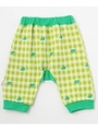 ゾウギンガムチェックパンツ/ライトグリーン(221)
