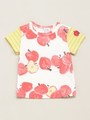 BABY リンゴボーダープリント半袖Tシャツ/レッド