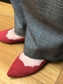 BFC スカラップウォームFLT/WINE