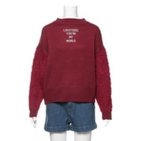 【51%OFF】【ニコラ掲載】ロゴ刺しゅう入り袖フェザーヤーンニット