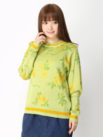 WEGO/フラワージャガードニット