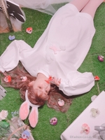 DR rabbit check O/P/ホワイト