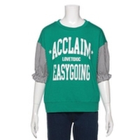 袖ストライプ柄ロゴＴシャツ