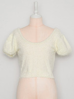 シャギークロップドトップ