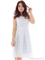 コットンレースカラーワンピース/オフホワイト